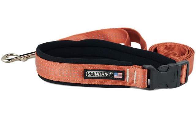 スピンドリフト プロ・コージーリード