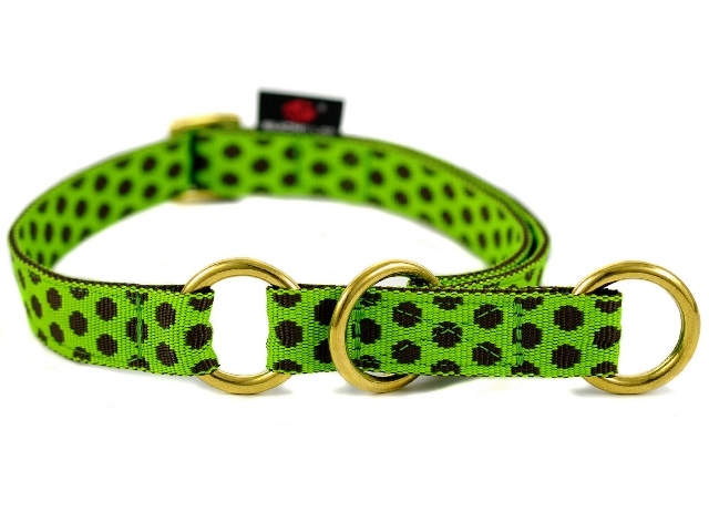 ズーヒトルップ・ドッツコレクション・リミテッドスリップ・カラー