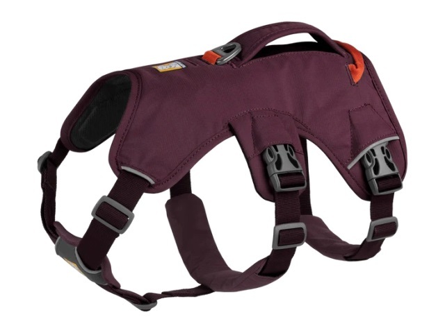 ラフウェア　ウェブマスターハーネス (2022バージョン）