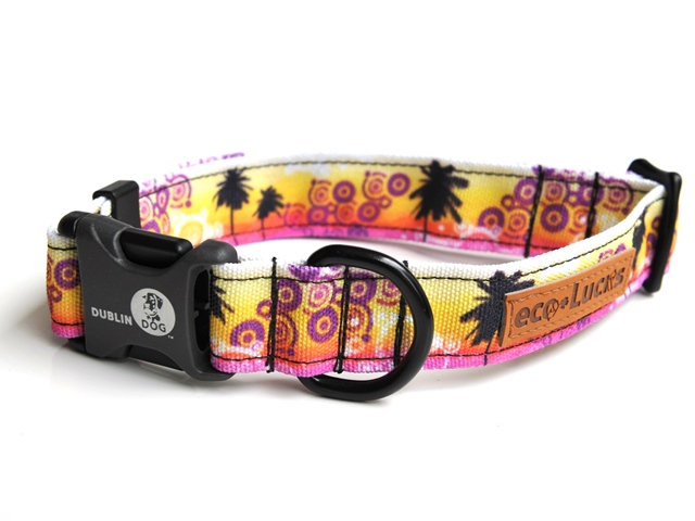 ダブリンドッグ eco-Lucksカラー