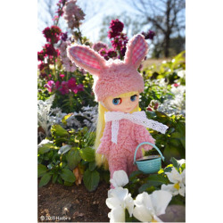 Blythe　ミディブライス　SHOP限定ドール　「ネリーニブルス」　2013年4月12日発売予定　ご予約受付中！