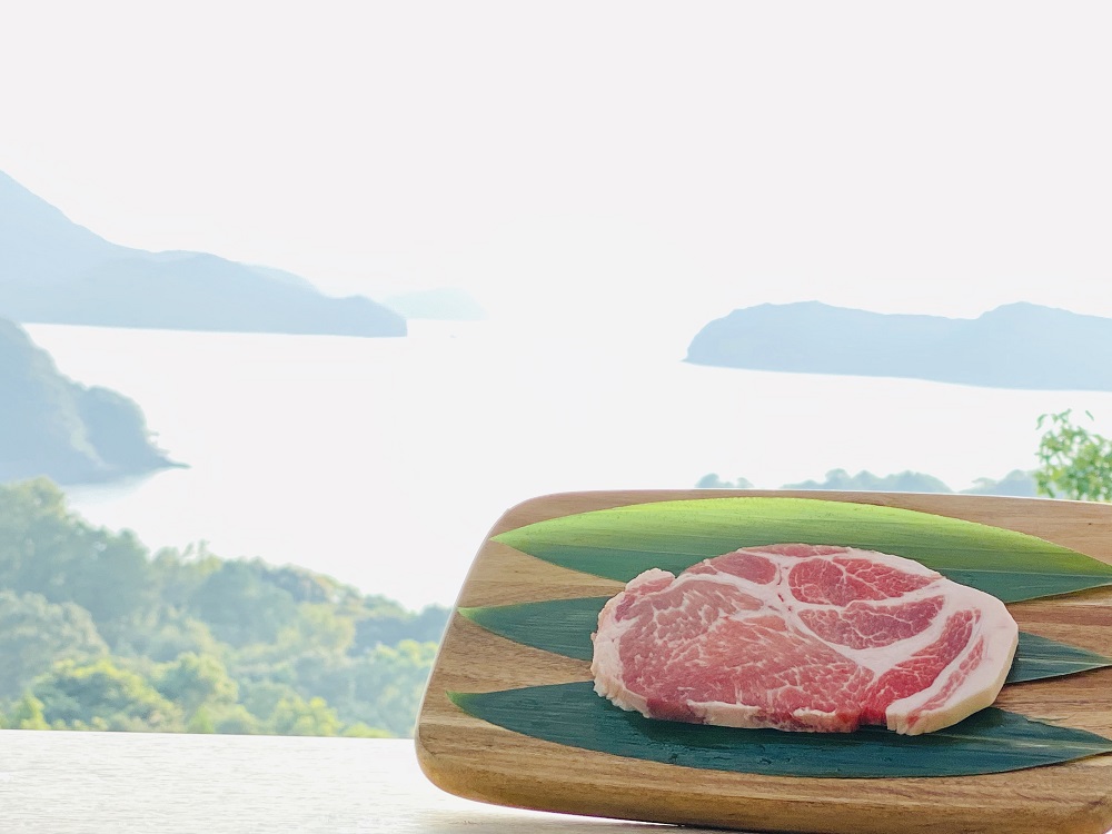 梅肉天龍　肩ローストンテキ用　1枚100g