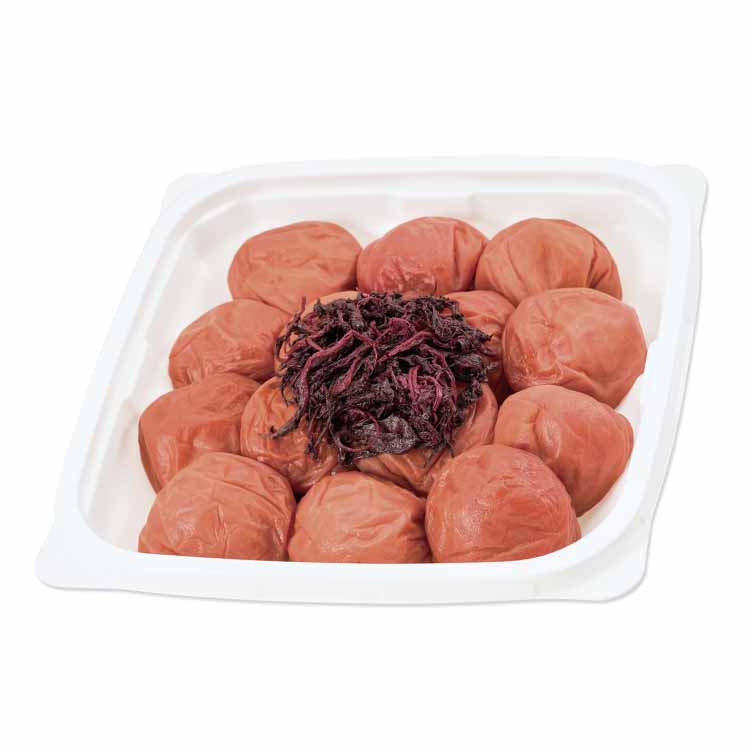 いきな ご家庭用エコパック380g