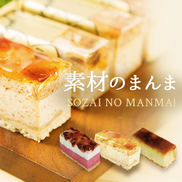 素材のまんま5個入りセット