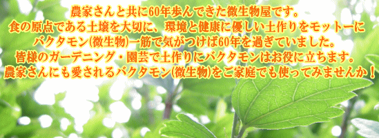 トップ－緑編