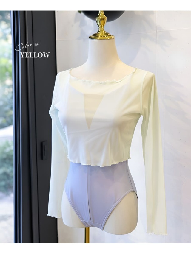 abbyオリジナル＞バレエシアーメロウトップス｜バレエウェア・用品の