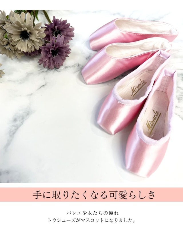 Grishko（グリシコ）STARPOINTEスターポアント ポワントシューズ