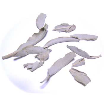 ホワイト　セージ