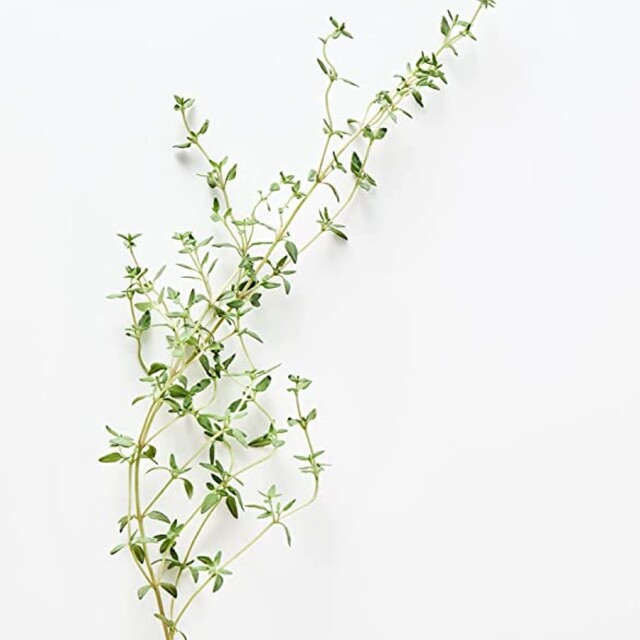 アーモンドタイム素材7