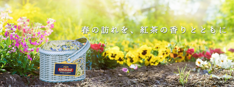 春バナー２０２２５