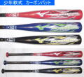 2026年モデル カタログ外・後期限定品 プロフェッショナルセレクション ミズノ 少年軟式用バット1CJFYA02