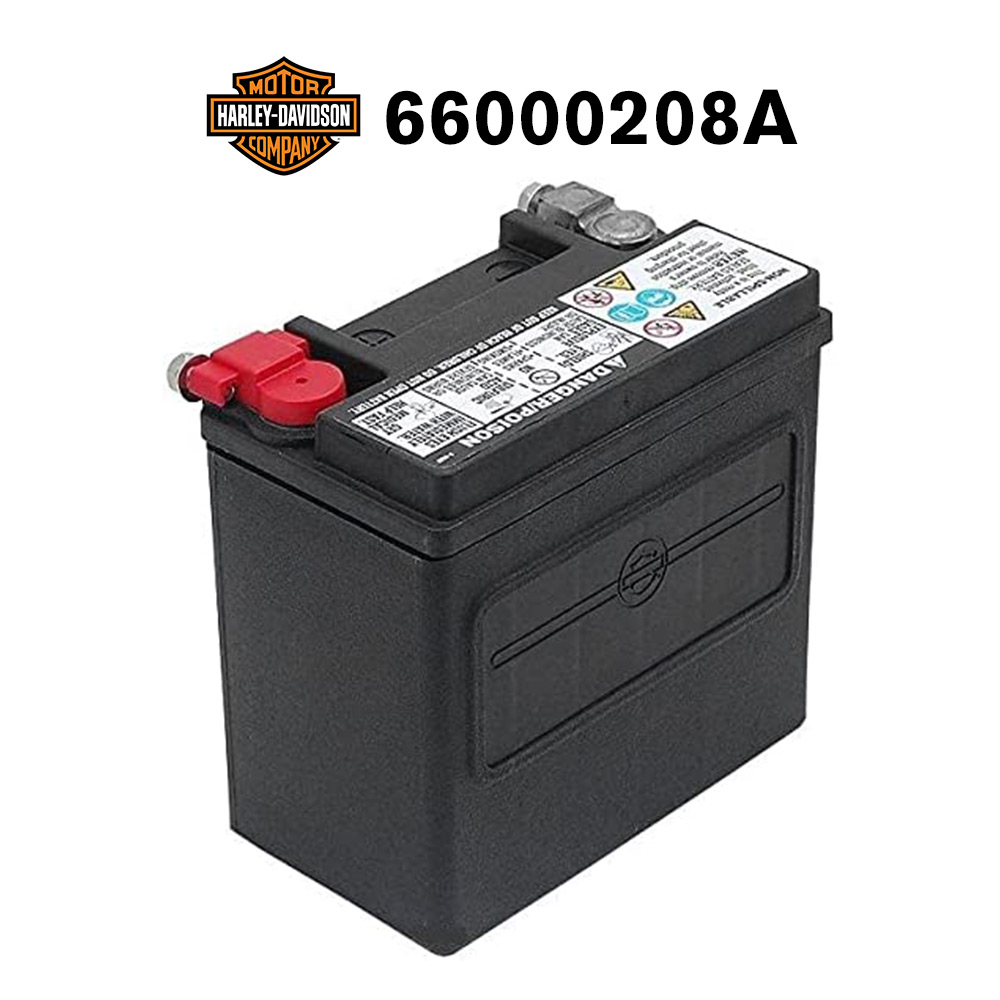 HD66000208A