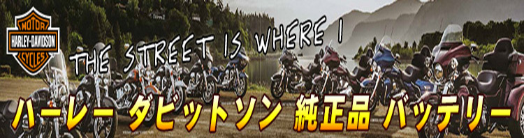 hare-top_smt