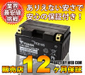 ty-ttz10s-12y