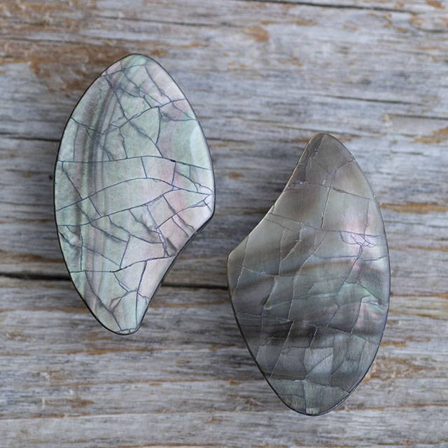 モザイクシェルボタン