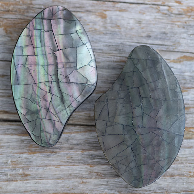 モザイクシェルボタン