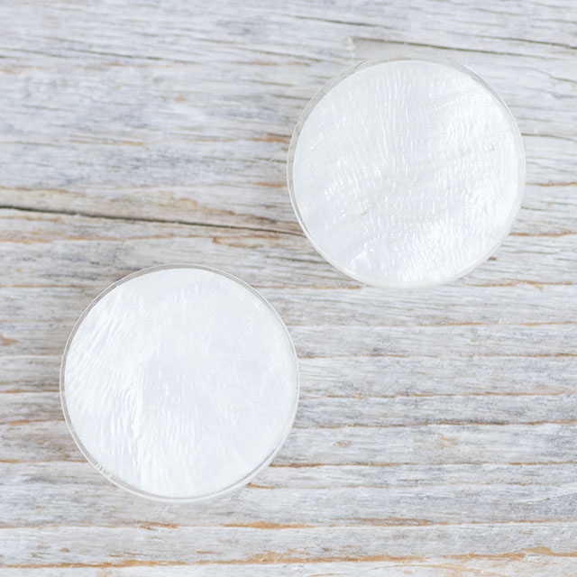 シェルパーツボタン