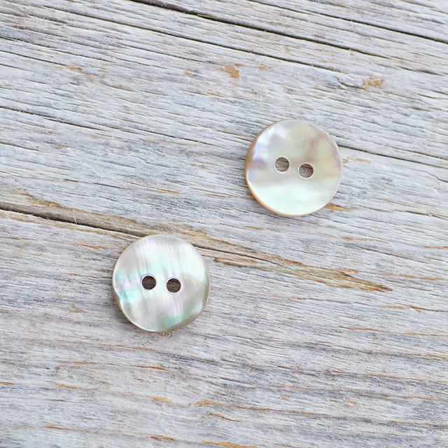 貝 アワビ貝 20mm|貝ボタン□タカシマ□