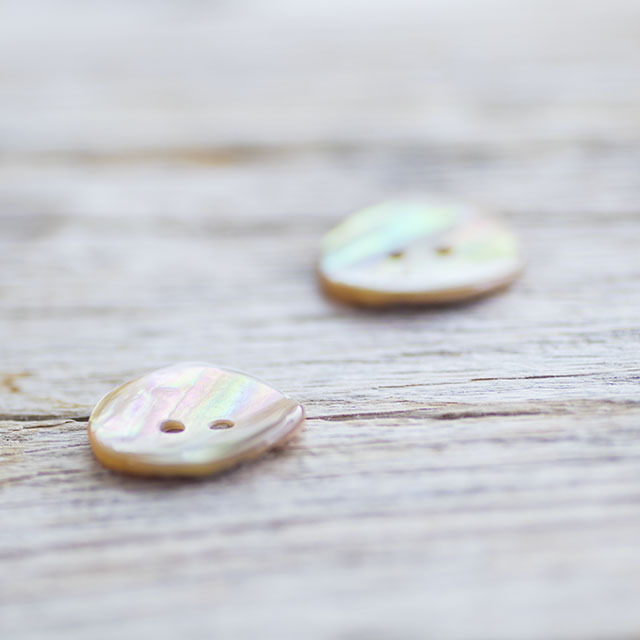 アワビ貝 18mm|貝ボタン□タカシマ□