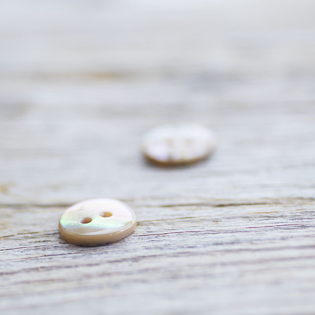 アワビ貝 13mm|貝ボタン□タカシマ□