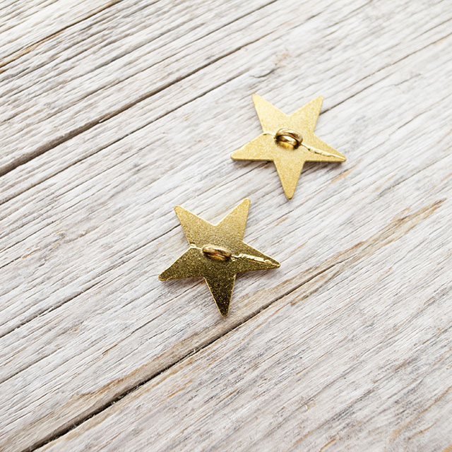 星コンチョボタン