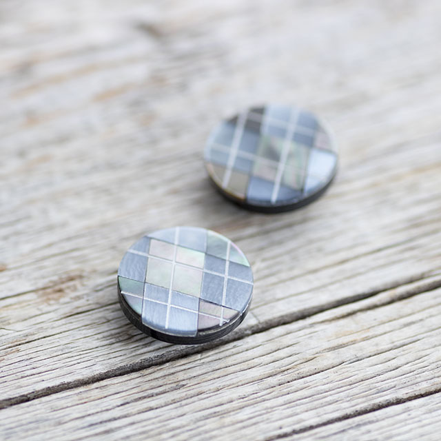 ハンマーシェル黒蝶貝