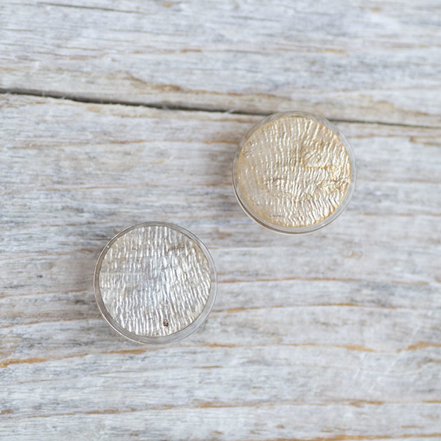 シンプルデザイン貝ボタン SAND】カピスシェル #BT225 C/#47