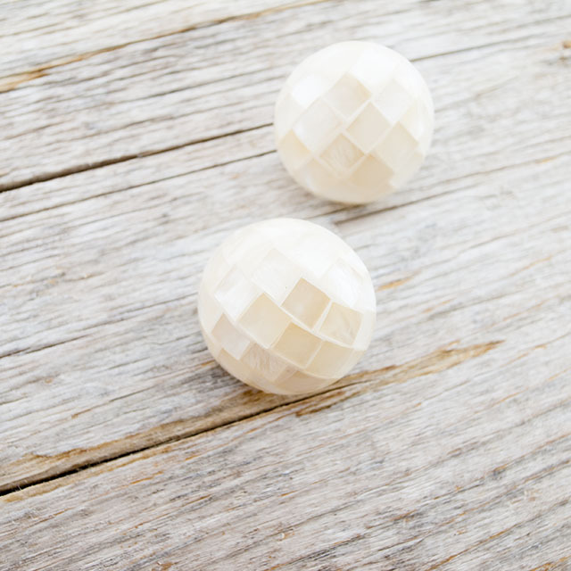 大きな貝、約100歳　約20 × 25 × 20センチ￼ 大きな貝、約100歳 約20 × 25 × 20センチ￼