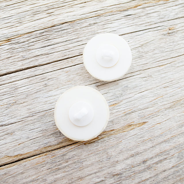 大きな貝、約100歳　約20 × 25 × 20センチ￼ 大きな貝、約100歳 約20 × 25 × 20センチ￼