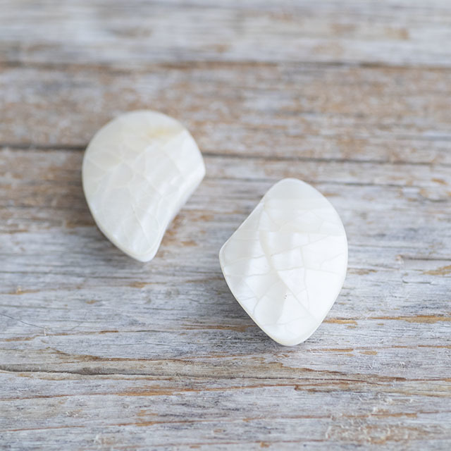 モザイクシェルボタン