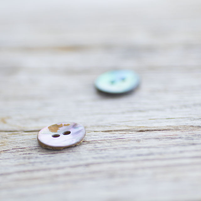 メキシコ貝 13mm|貝ボタン□タカシマ□