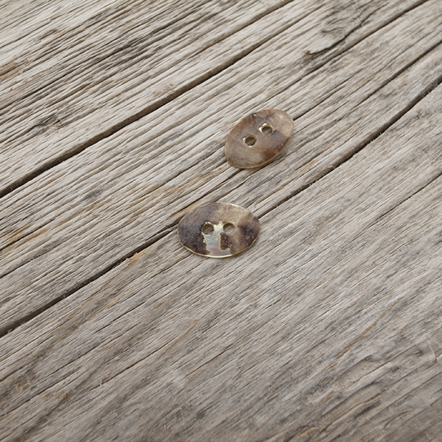 アコヤパールシェル