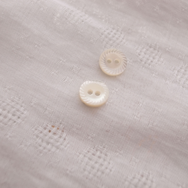 とし 夜光貝 高瀬貝 白蝶貝 池蝶貝 ツノ 9点替え針