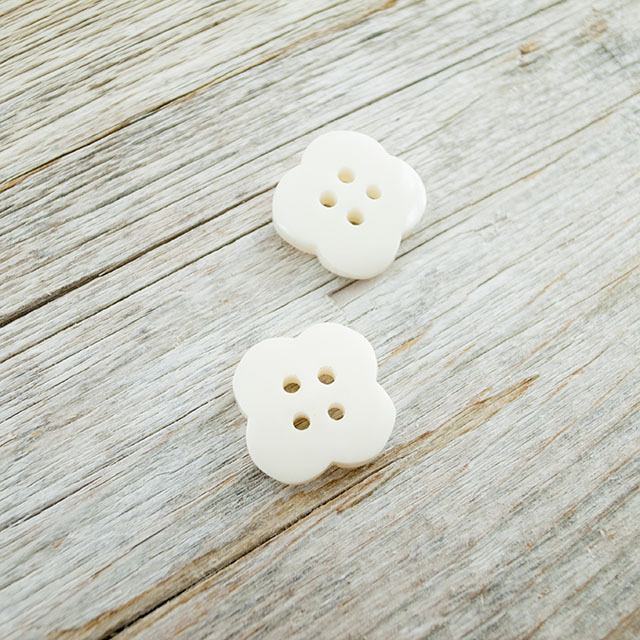 白蝶貝