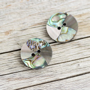 メキシコ貝黒蝶貝