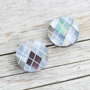 ハンマーシェル黒蝶貝