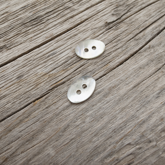 アコヤパールシェル