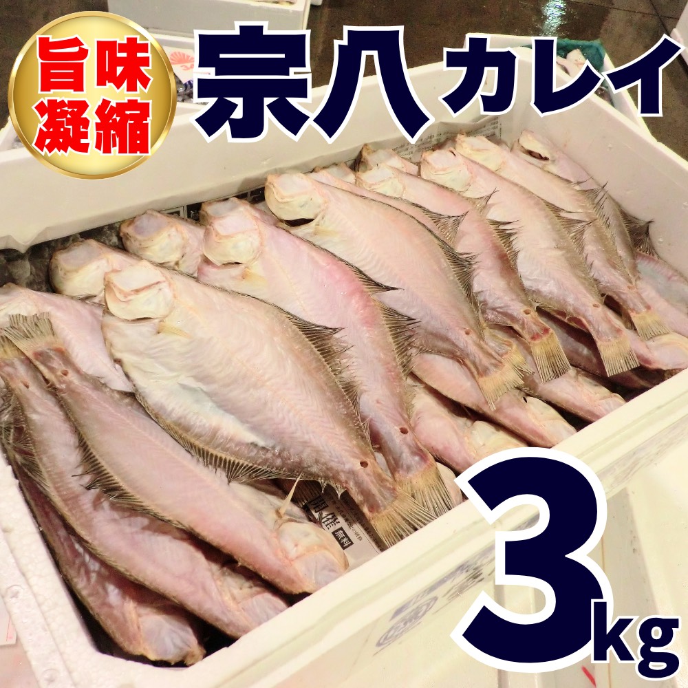 【業務用】宗八カレイ 3kg20枚前後