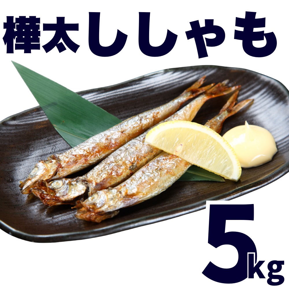 【業務用】からふとししゃも 5kg ｜kg￥1,596