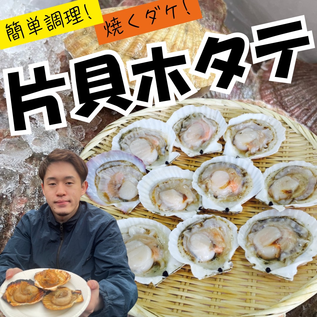 【業務用】片貝ホタテ 8-9cm 100枚 (10枚×10) ｜1枚￥138
