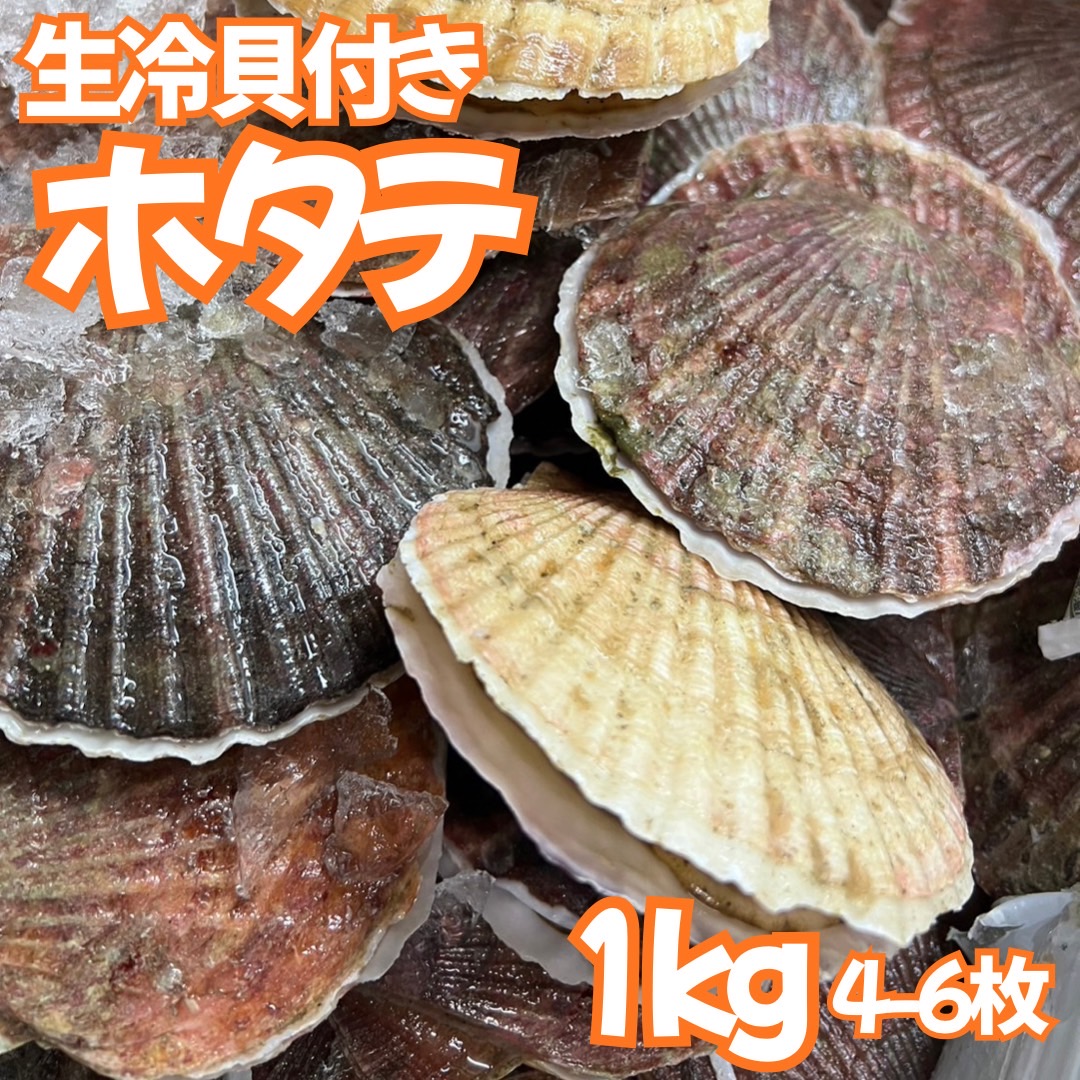 【業務用】生冷凍 貝付きホタテ 1kg（4～6枚程度）