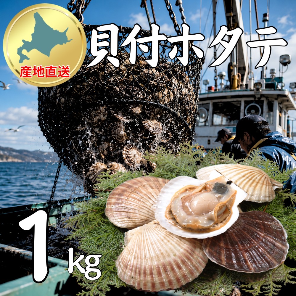 【業務用】生冷凍 貝付きホタテ 1kg（4～6枚程度）