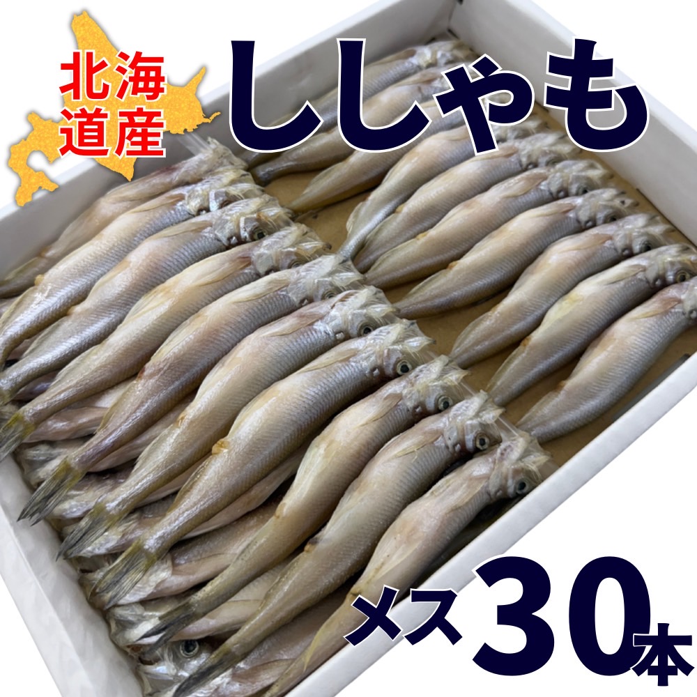 【業務用】北海道産ししゃも (メス) 1箱30尾 ｜1尾￥212