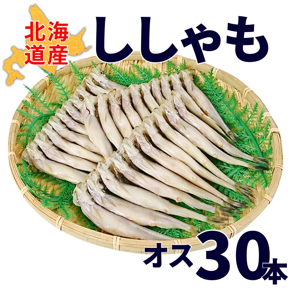 【業務用】北海道産ししゃも (オス) 1箱30尾 ｜1尾￥225