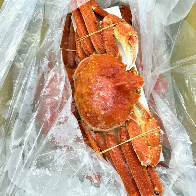 【業務用】訳あり ダシ用 ズワイガニ姿 6kg6尾