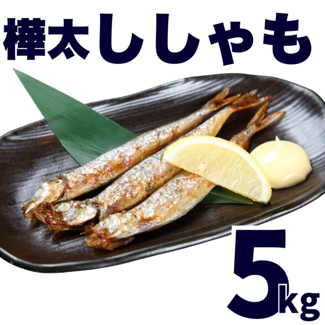 【業務用】からふとししゃも 5kg ｜kg￥1,296
