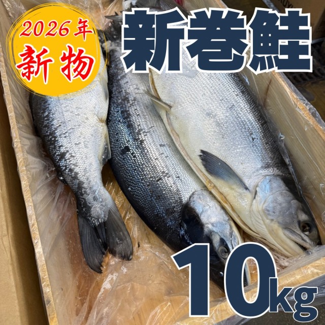 【業務用】新巻鮭 10kg5～6尾 ｜ 1尾￥3,966～￥4,760