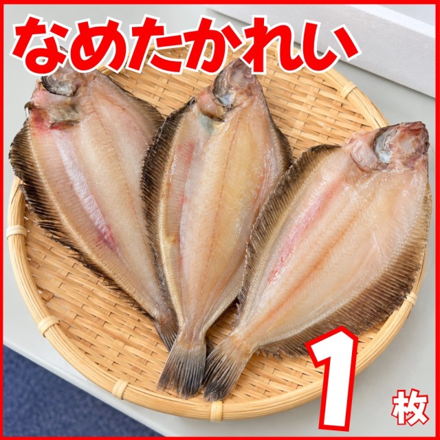 【業務用】なめたかれい　1枚