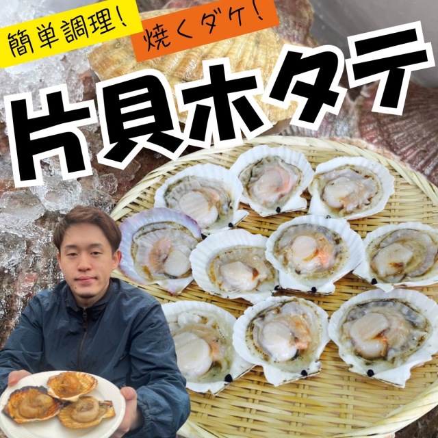 【業務用】片貝ホタテ 8-9cm 100枚 (10枚×10) ｜1枚￥138