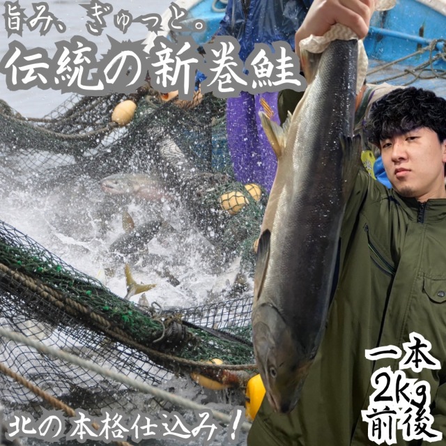 【業務用】新巻鮭 1尾 2kg前後
